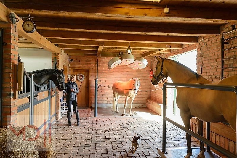 Sonstiges des Typs MD Landmaschinen BM Pferdesolarium SOLAR-TEC1, Neumaschine in Zeven (Bild 5)