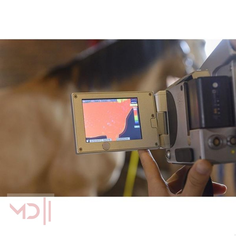 Sonstiges des Typs MD Landmaschinen BM VIBRATIONSPLATTE VIBRO 2300, Neumaschine in Zeven (Bild 4)