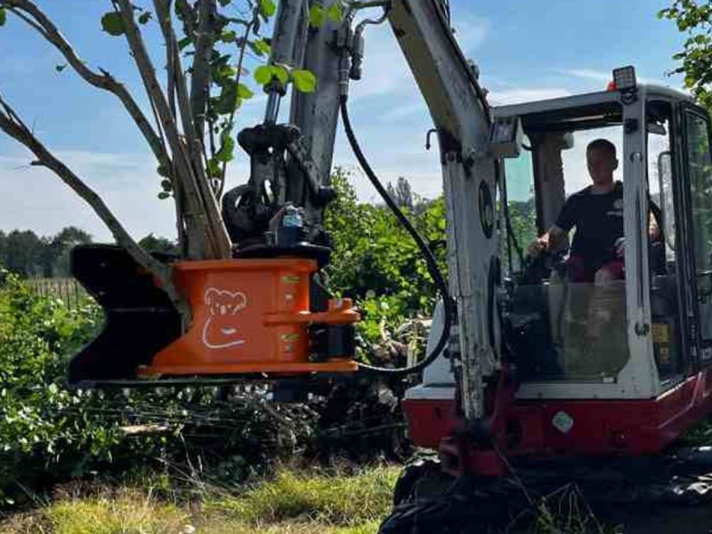 Sonstiges des Typs MDE Koala 200 fældehoved, Gebrauchtmaschine in Fredericia (Bild 1)