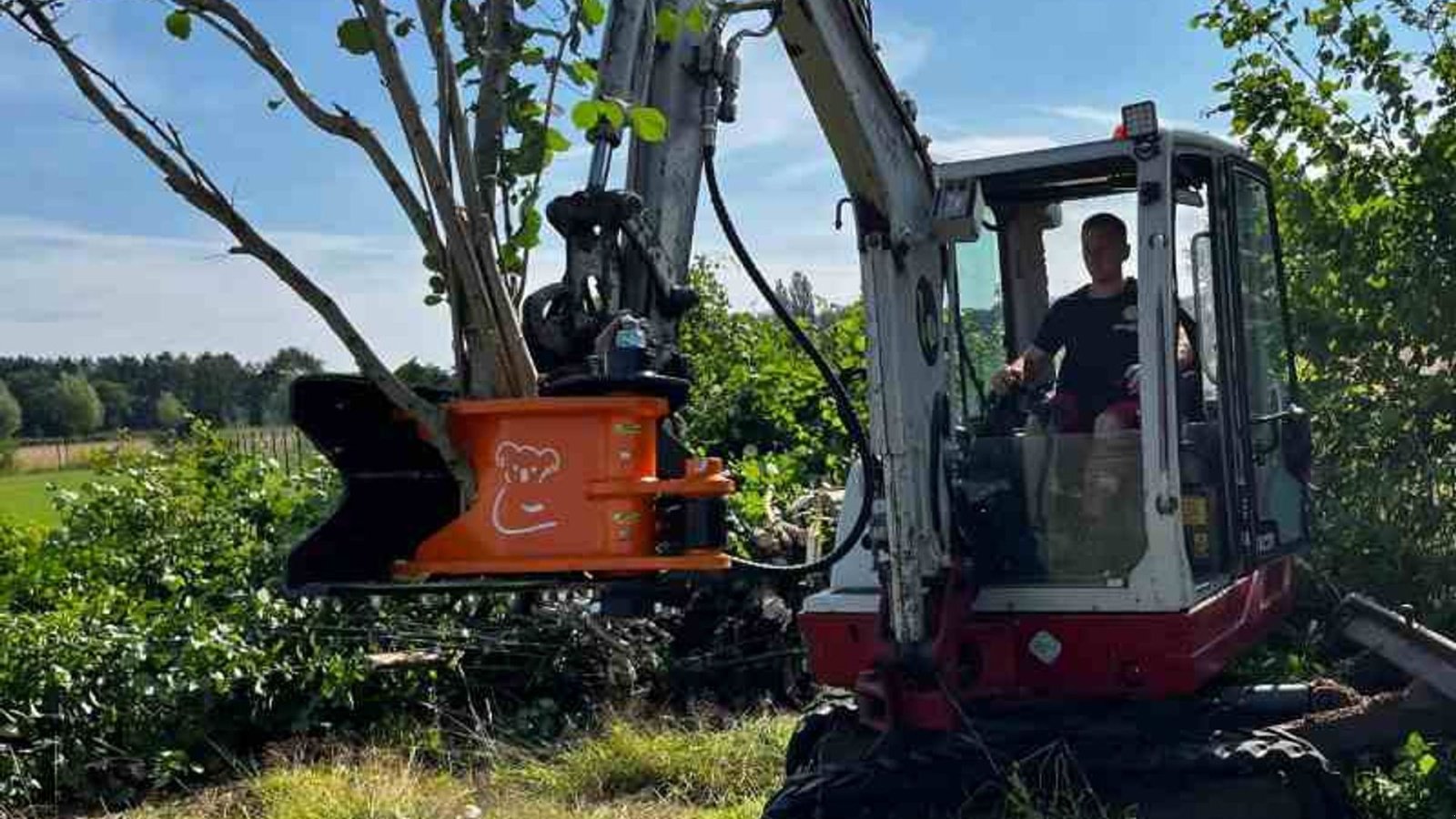 Sonstiges des Typs MDE Koala 200 fældehoved, Gebrauchtmaschine in Fredericia (Bild 2)
