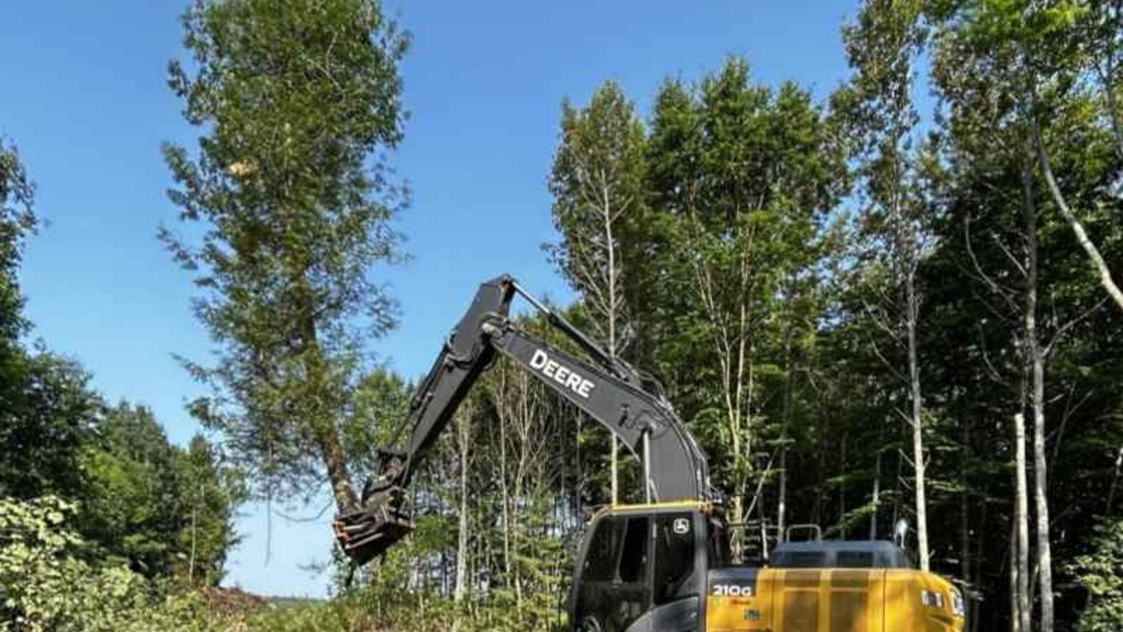 Sonstiges typu MDE Koala 400 fældehoved, Gebrauchtmaschine v Fredericia (Obrázok 3)