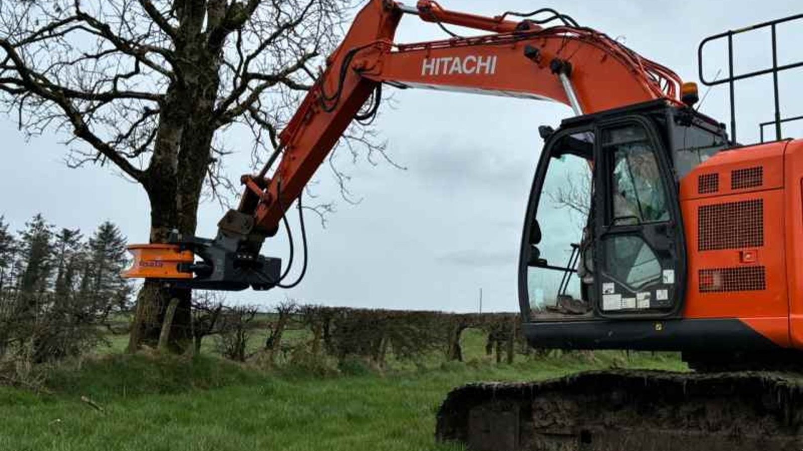 Sonstiges типа MDE Koala 550 fældehoved, Gebrauchtmaschine в Fredericia (Фотография 4)