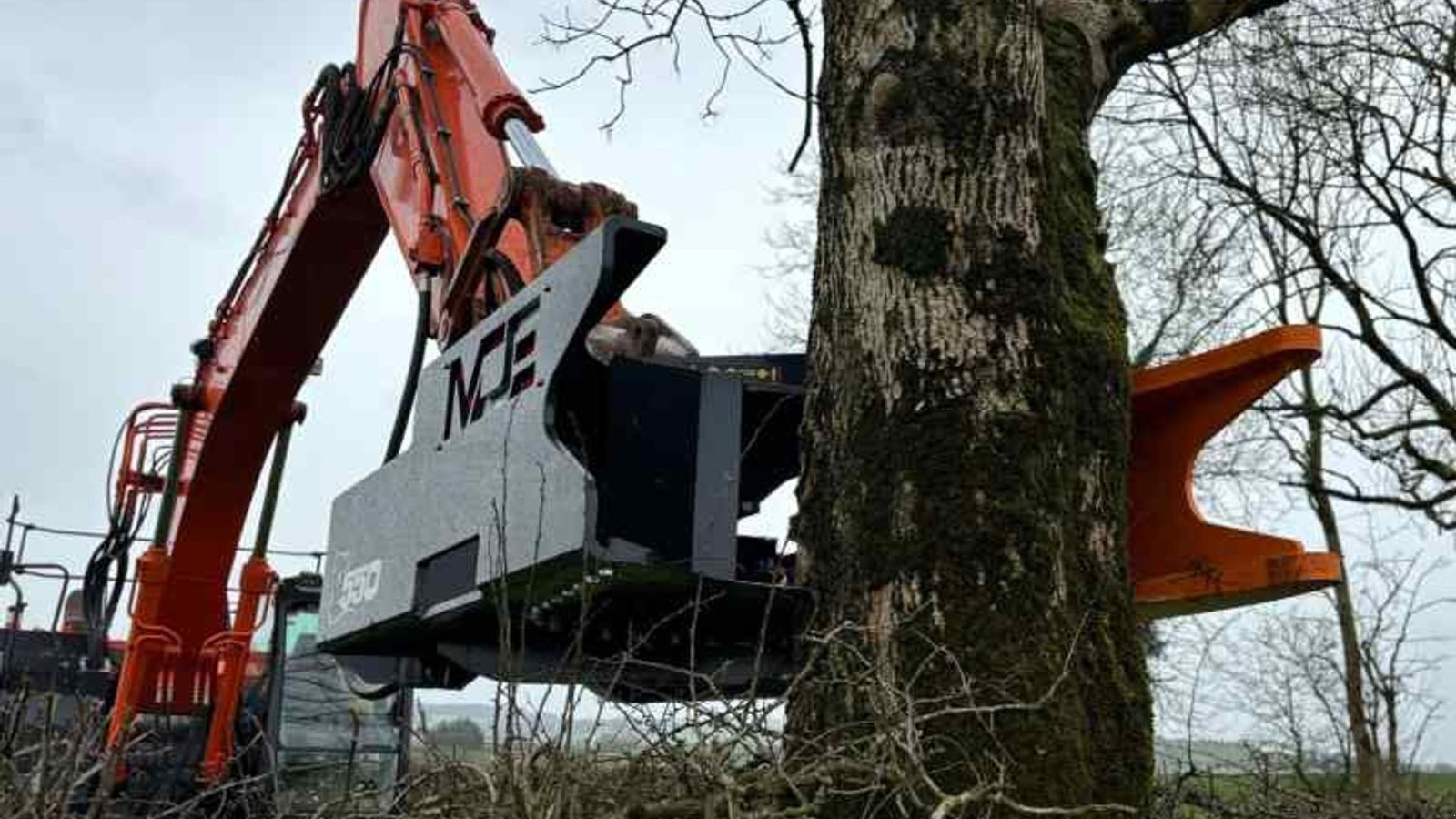 Sonstiges Türe ait MDE Koala 550 fældehoved, Gebrauchtmaschine içinde Fredericia (resim 1)