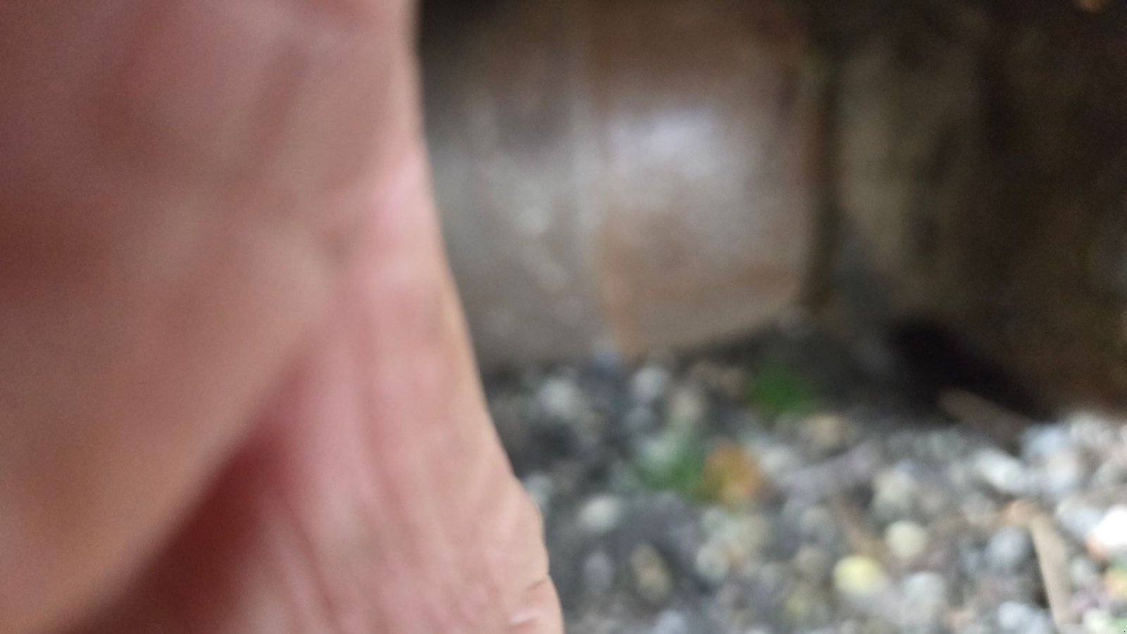 Sonstiges типа Müthing MU-M 600F, Gebrauchtmaschine в Assens (Фотография 7)