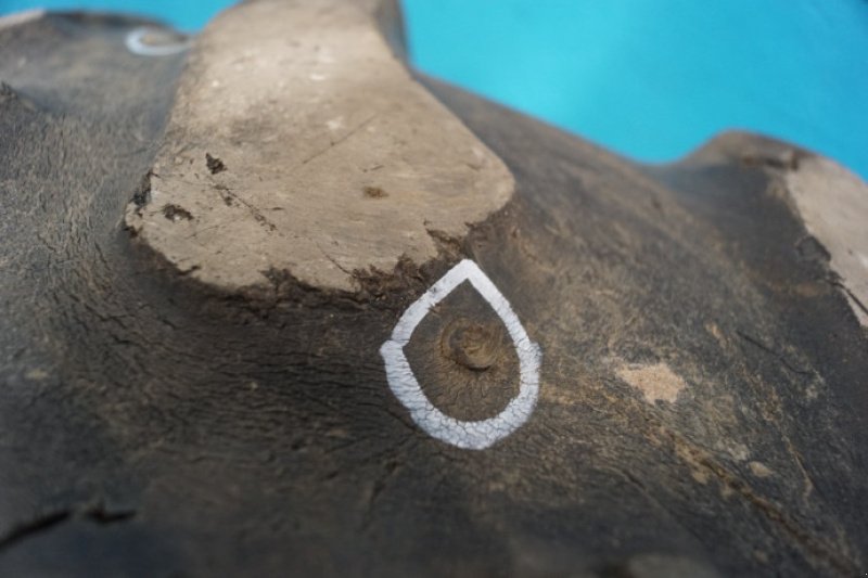 Sonstiges of the type New Holland 28"   480/70R28, Gebrauchtmaschine in Hemmet (Picture 15)