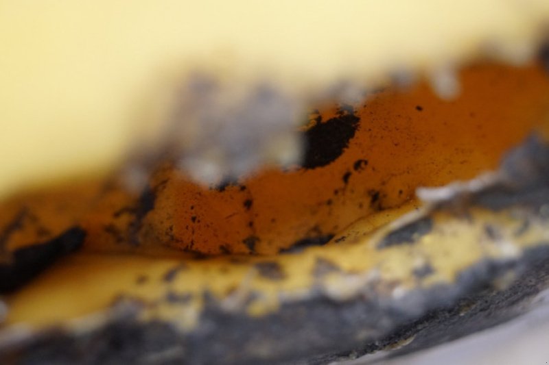 Sonstiges of the type New Holland TX68, Gebrauchtmaschine in Hemmet (Picture 4)