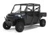 Sonstiges tipa Polaris Ranger XP 1000 Crew, Gebrauchtmaschine u Rødding (Slika 1)