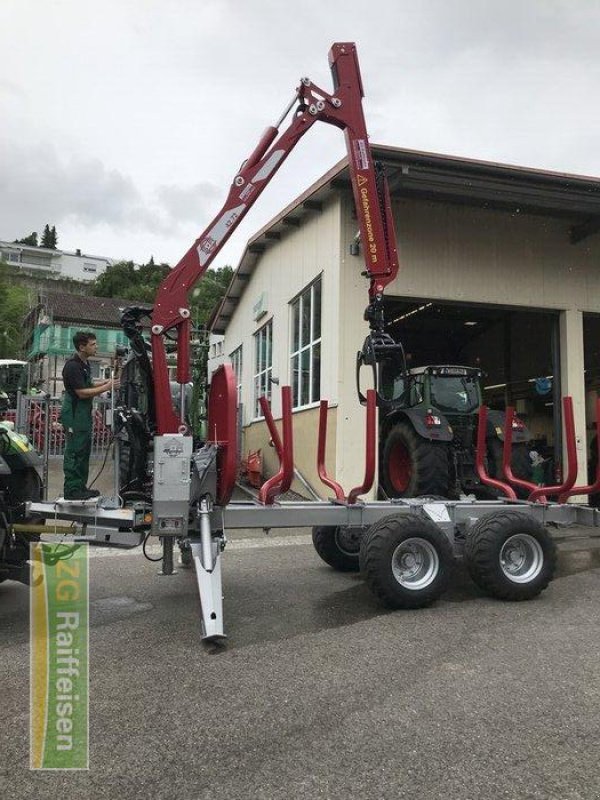 Sonstiges Türe ait Schlang & Reichart SR 1100, Gebrauchtmaschine içinde Waldshut-Tiengen (resim 3)