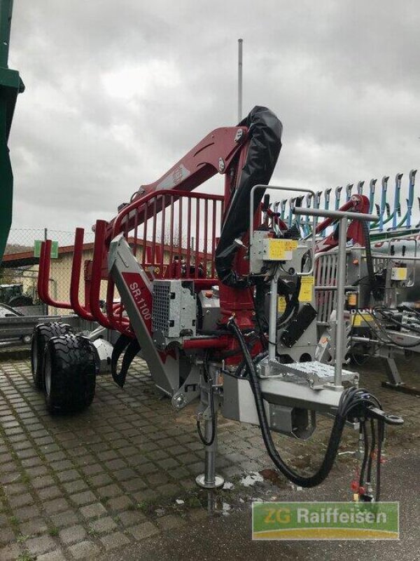 Sonstiges Türe ait Schlang & Reichart SR 1100, Gebrauchtmaschine içinde Waldshut-Tiengen (resim 2)