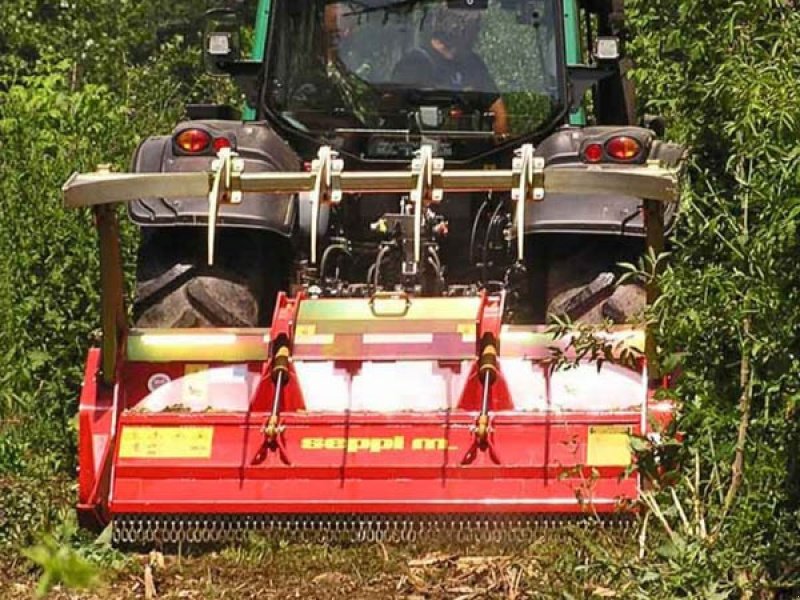 Sonstiges des Typs Seppi Midi-Forst DT 225 cm, Gebrauchtmaschine in Vrå (Bild 4)