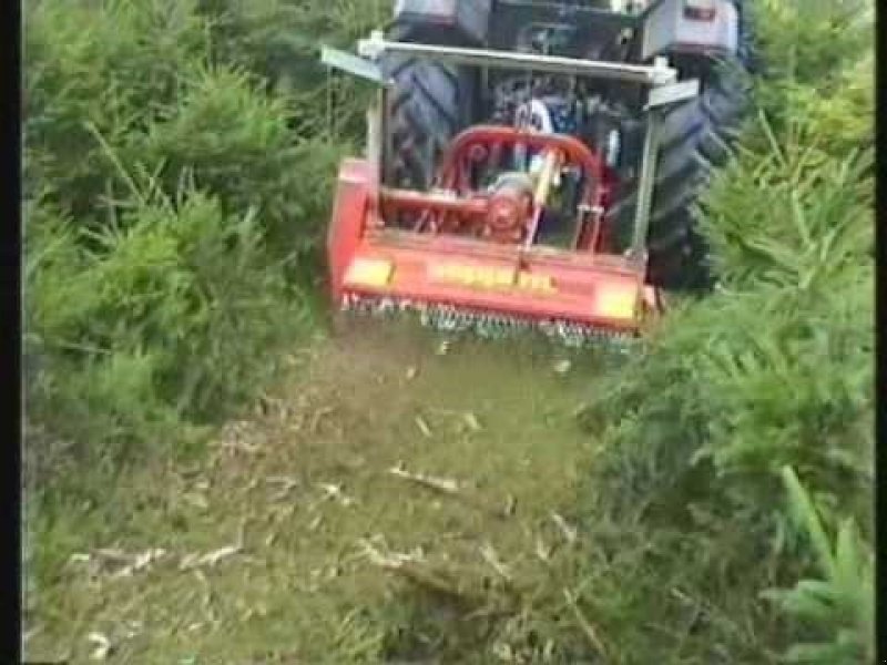 Sonstiges des Typs Seppi Mini-Forst 125 Snild og stærk kvalitets - maskine, Gebrauchtmaschine in Kjellerup (Bild 5)