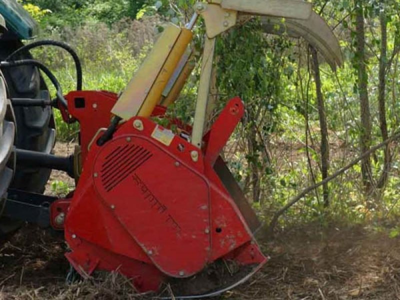 Sonstiges of the type Seppi Mini-Forst DT 200 cm, Gebrauchtmaschine in Vrå (Picture 4)