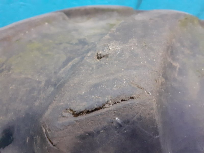 Sonstiges of the type Sonstige 24"   460/70R24, Gebrauchtmaschine in Hemmet (Picture 18)