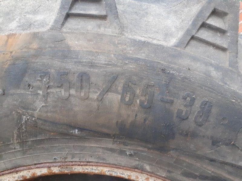 Sonstiges of the type Sonstige 38"   750/65R38, Gebrauchtmaschine in Hemmet (Picture 15)