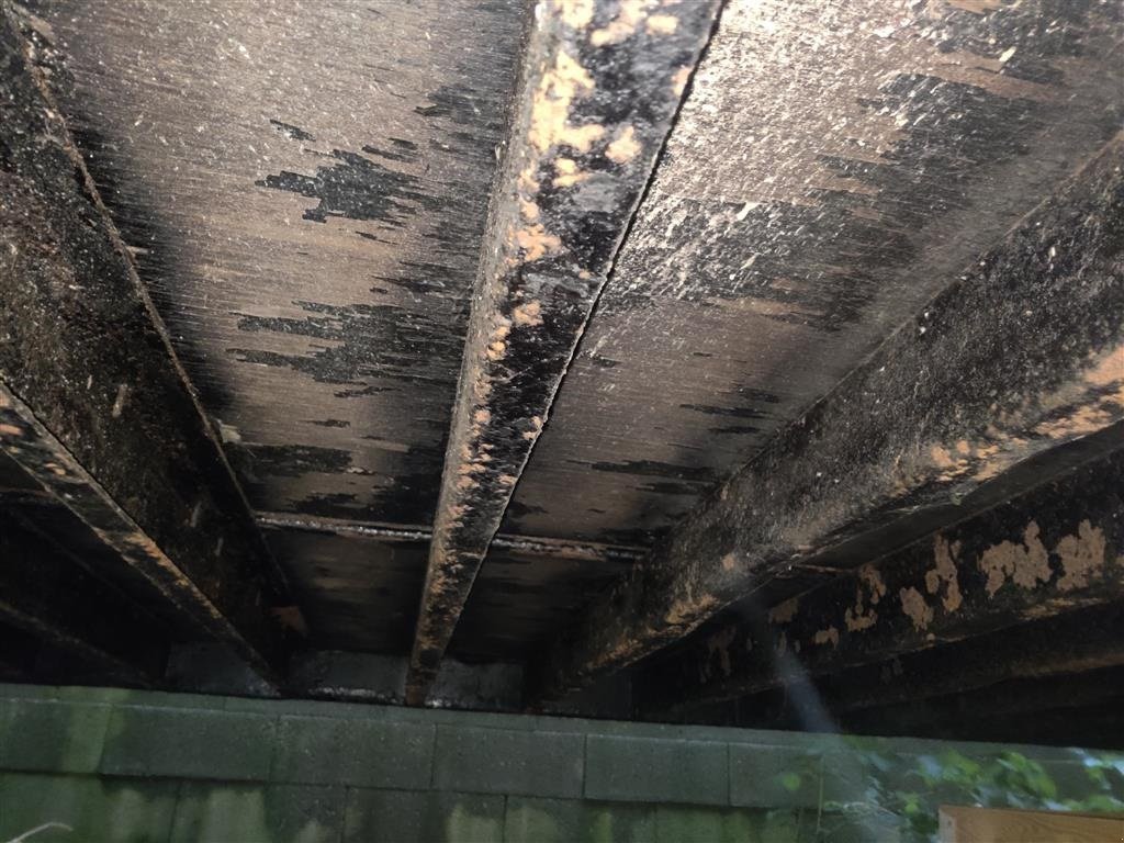 Sonstiges του τύπου Sonstige 40 Fods Container High Cube indrettet til lager, Gebrauchtmaschine σε Vils, Mors (Φωτογραφία 6)