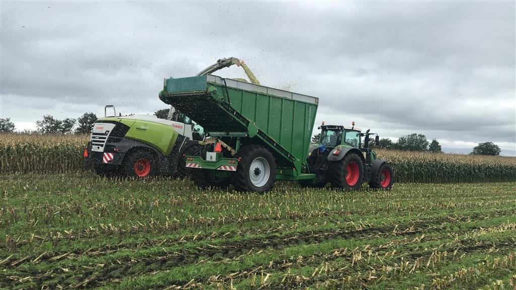 Sonstiges του τύπου Sonstige ACJ Greenloader overlæsning af majs, græs, roer og kartofler.., Gebrauchtmaschine σε Løgumkloster (Φωτογραφία 3)