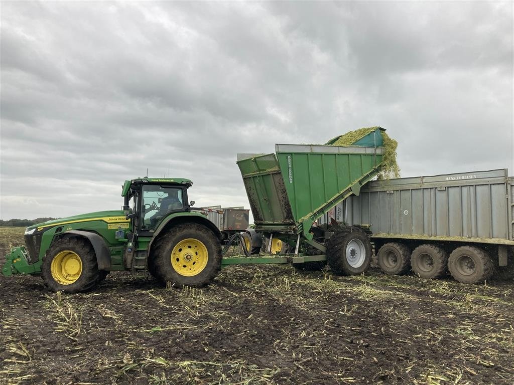 Sonstiges του τύπου Sonstige ACJ Greenloader overlæsning af majs, græs, roer og kartofler.., Gebrauchtmaschine σε Løgumkloster (Φωτογραφία 18)