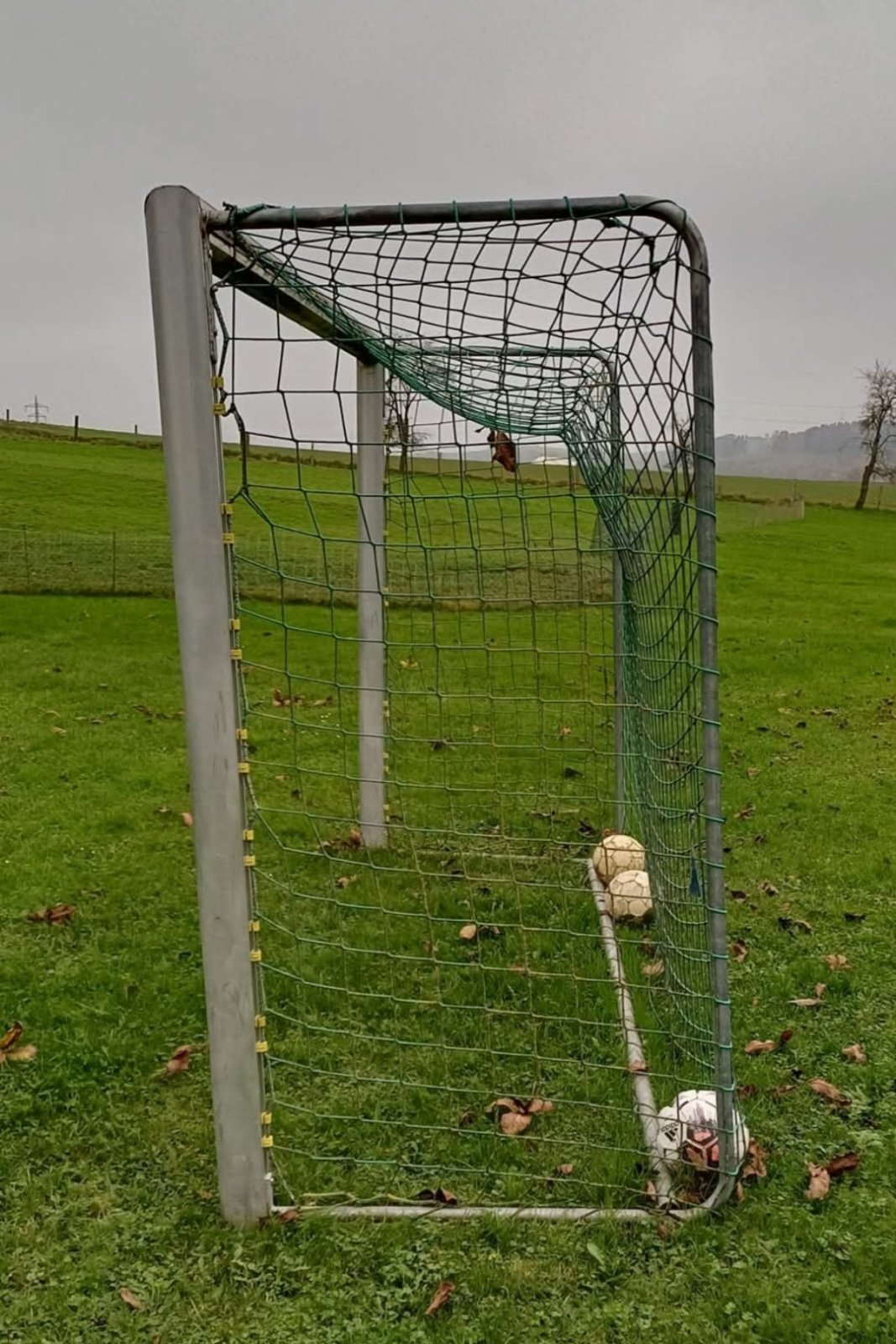 Sonstiges of the type Sonstige Aluminium Fußballtore / Handballtore / Tore, Gebrauchtmaschine in Langenbach (Picture 1)
