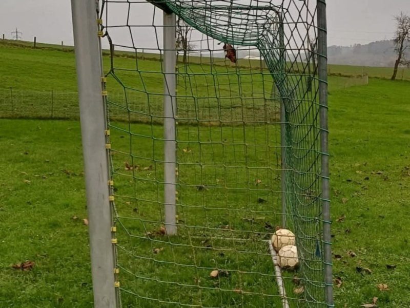 Sonstiges of the type Sonstige Aluminium Fußballtore / Handballtore / Tore, Gebrauchtmaschine in Langenbach (Picture 1)