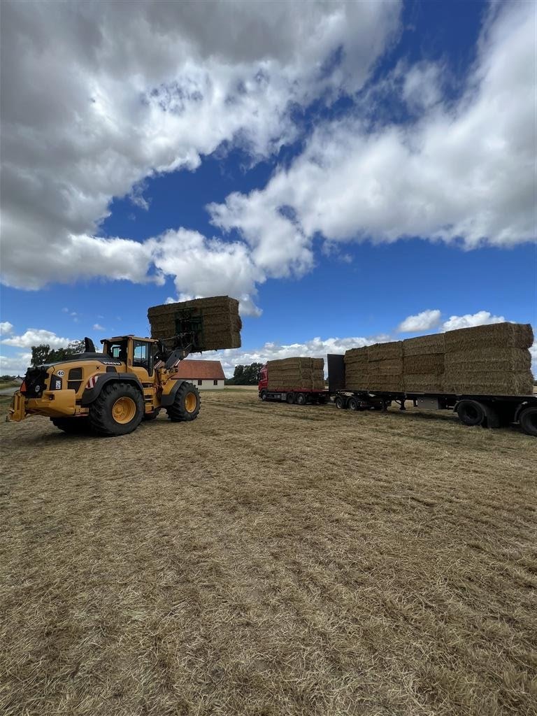 Sonstiges des Typs Sonstige Ballefork med fangarme, fugt, temperatur og vejesystem., Gebrauchtmaschine in Løgumkloster (Bild 21)
