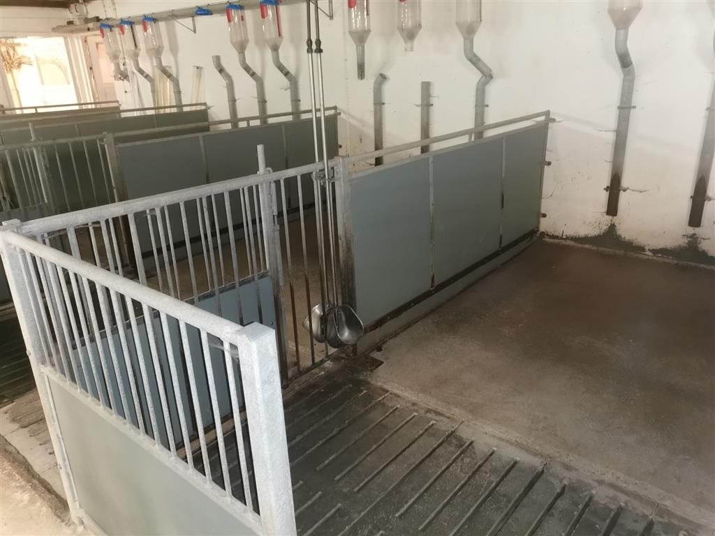 Sonstiges des Typs Sonstige Betonspalter 2,50 m, Gebrauchtmaschine in Egtved (Bild 1)