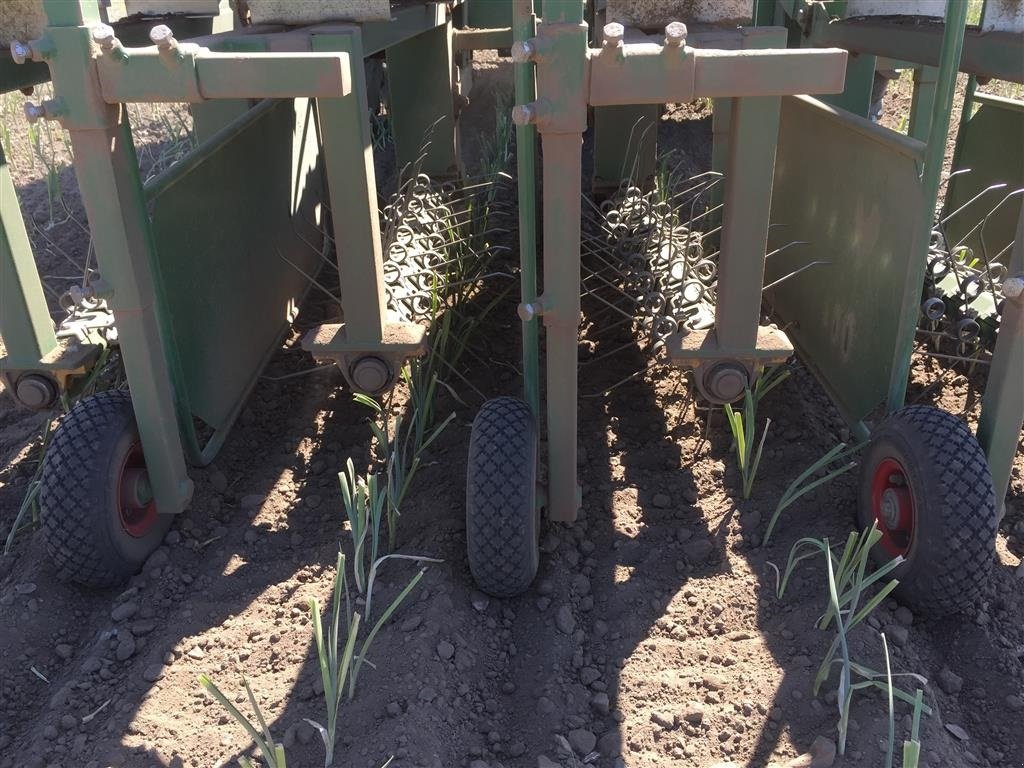 Sonstiges of the type Sonstige Christiaens Agro Systems - Rotorstrigle, Gebrauchtmaschine in Horsens (Picture 10)