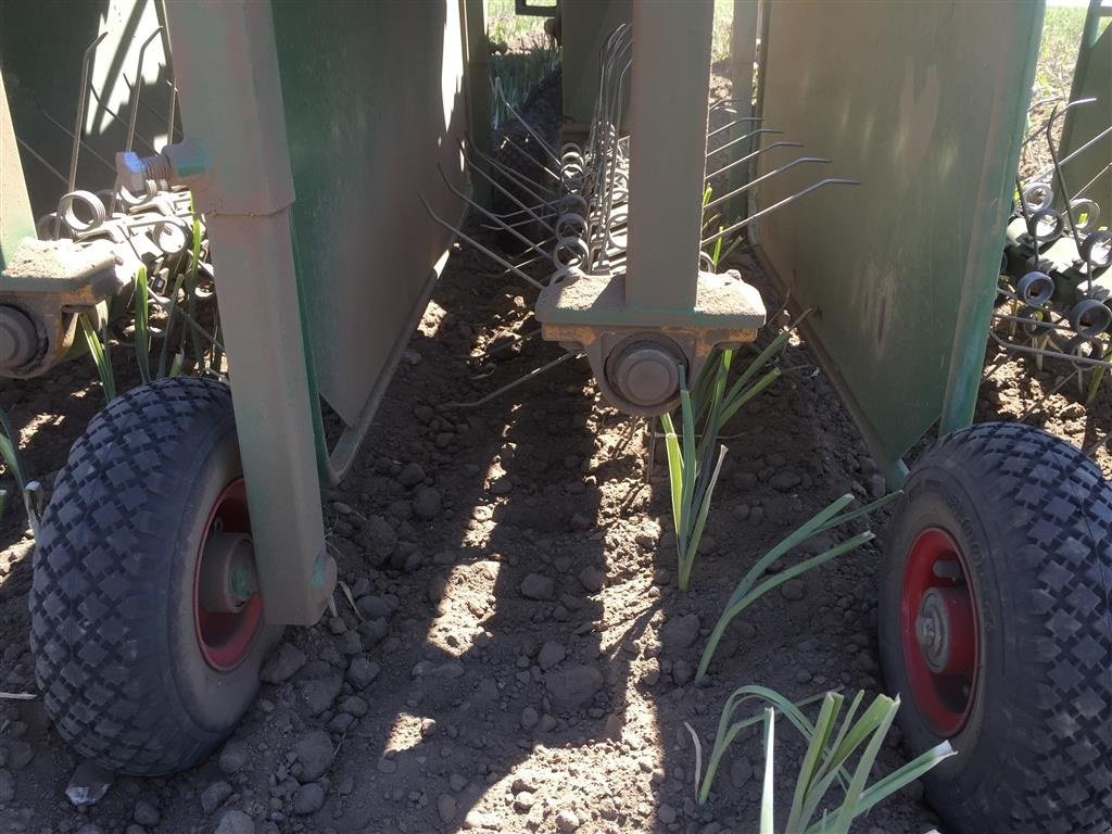 Sonstiges of the type Sonstige Christiaens Agro Systems - Rotorstrigle, Gebrauchtmaschine in Horsens (Picture 9)