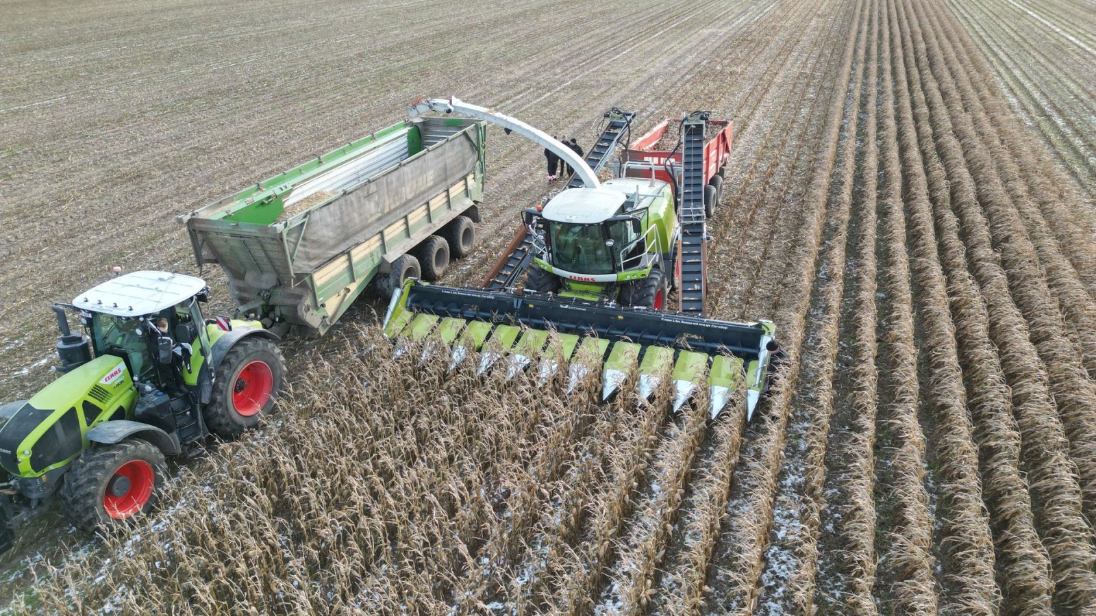 Sonstiges du type Sonstige Cornpicker 875 Cornpicker, Gebrauchtmaschine en Hjørring (Photo 3)