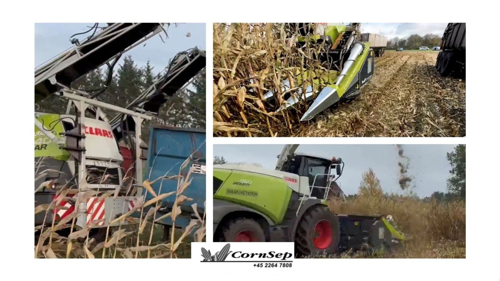 Sonstiges du type Sonstige Cornpicker 875 Cornpicker, Gebrauchtmaschine en Hjørring (Photo 2)