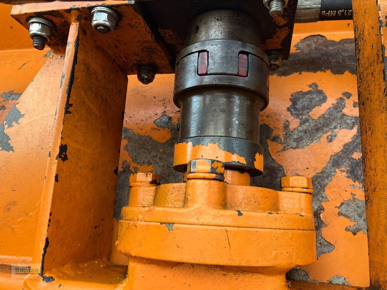 Sonstiges of the type Sonstige Dammnec Astschere 3 Blatt, Gebrauchtmaschine in Bakum (Picture 12)