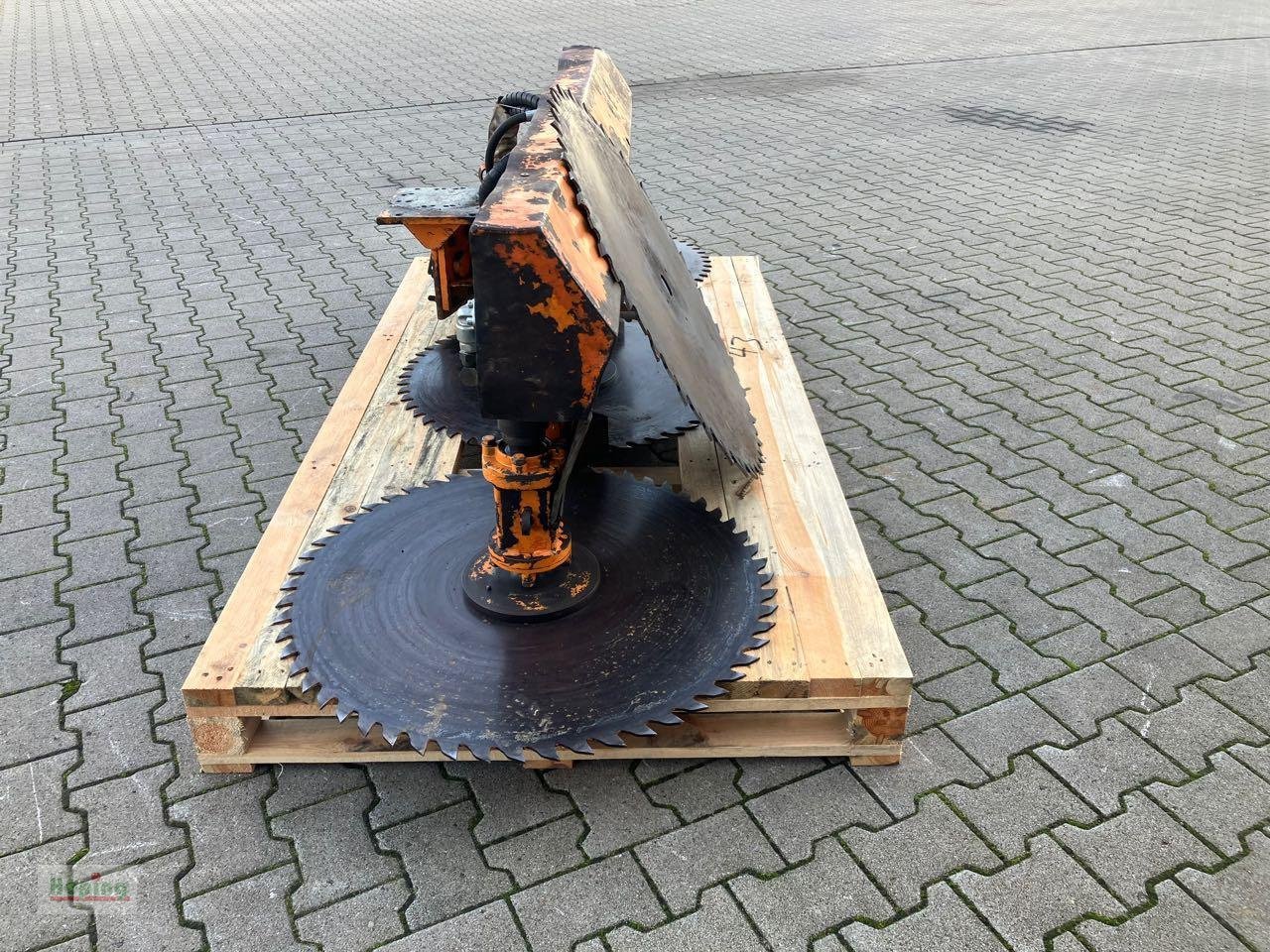 Sonstiges des Typs Sonstige Dammnec Astschere 3 Blatt, Gebrauchtmaschine in Bakum (Bild 3)