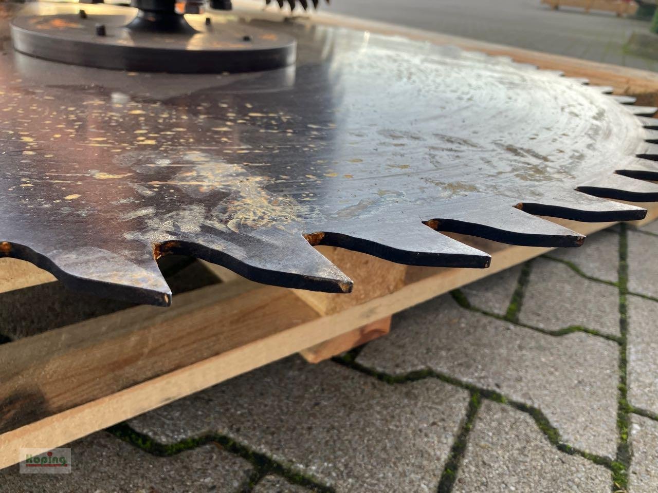 Sonstiges des Typs Sonstige Dammnec Astschere 3 Blatt, Gebrauchtmaschine in Bakum (Bild 10)