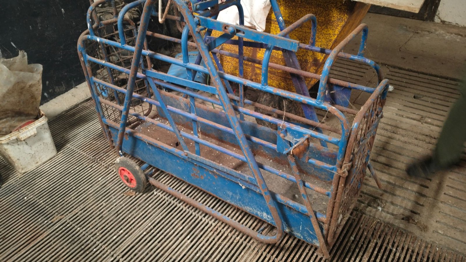 Sonstiges tipa Sonstige Digital grisevægt, Gebrauchtmaschine u Egtved (Slika 1)