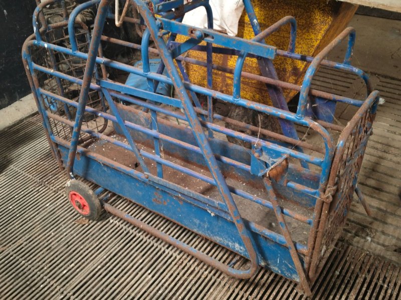 Sonstiges typu Sonstige Digital grisevægt, Gebrauchtmaschine v Egtved