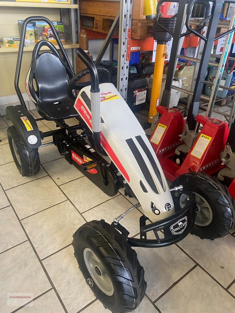 Sonstiges des Typs Sonstige Dino Cars Steyr 6300 Terrus CVT Gokart NEU Lager, Gebrauchtmaschine in Tarsdorf (Bild 1)