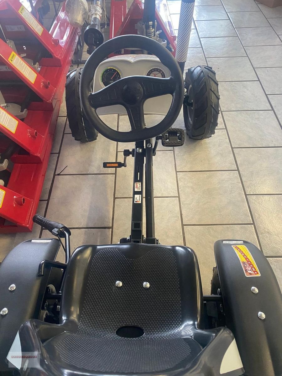 Sonstiges des Typs Sonstige Dino Cars Steyr 6300 Terrus CVT Gokart NEU Lager, Gebrauchtmaschine in Tarsdorf (Bild 3)
