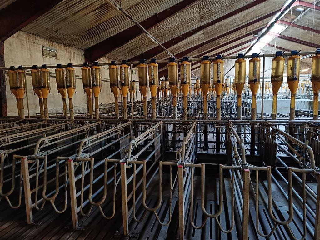 Sonstiges des Typs Sonstige Egebjerg Æde / hvile boks ca. 400 stk., Gebrauchtmaschine in Egtved (Bild 2)