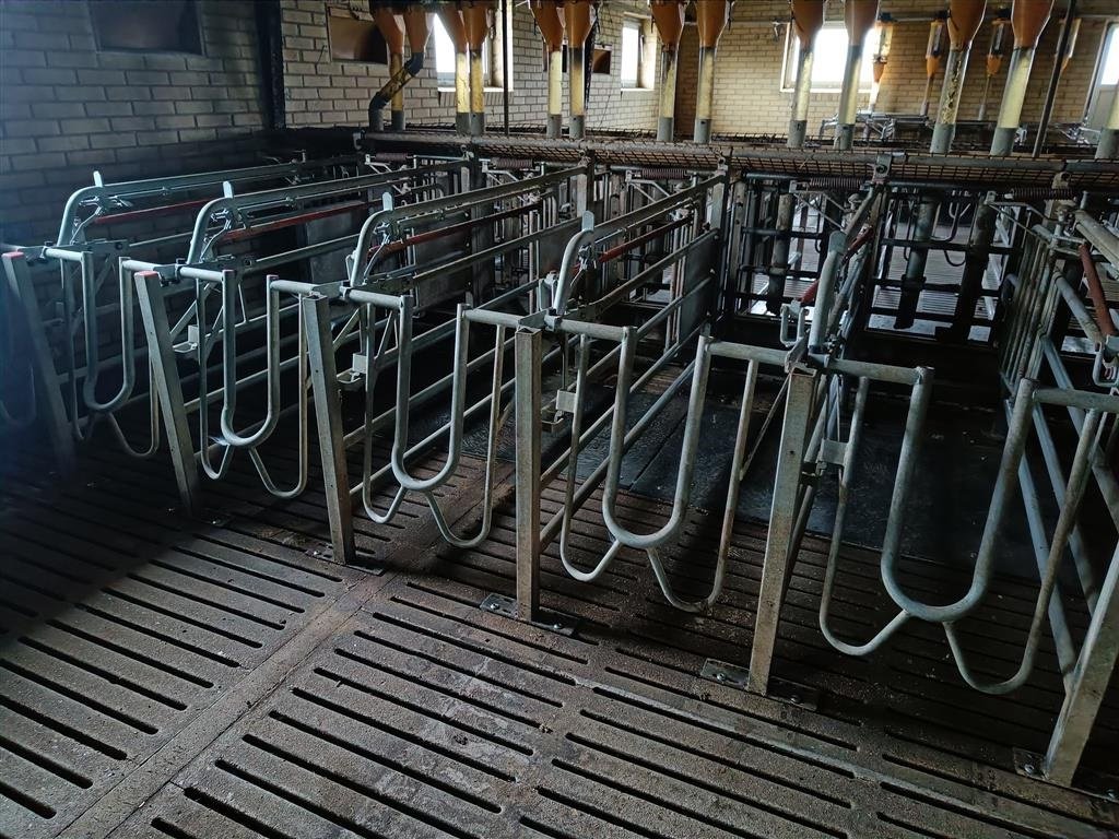 Sonstiges des Typs Sonstige Egebjerg Æde / hvile boks ca. 400 stk., Gebrauchtmaschine in Egtved (Bild 3)