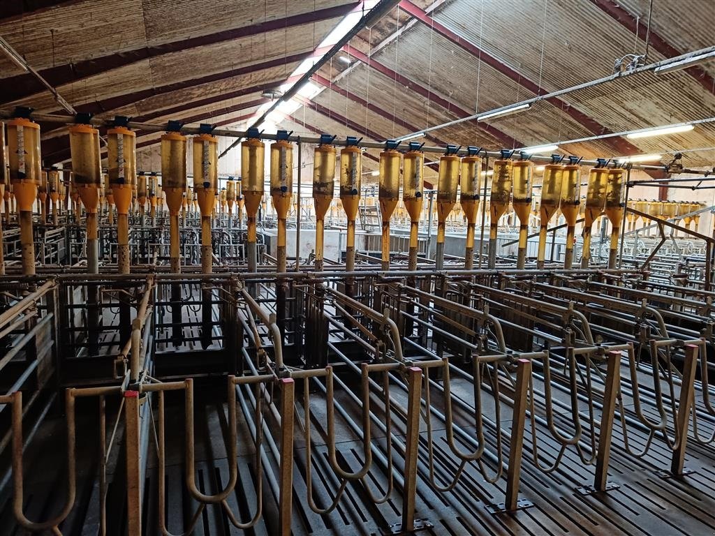 Sonstiges des Typs Sonstige Egebjerg Æde / hvile boks ca. 400 stk., Gebrauchtmaschine in Egtved (Bild 1)