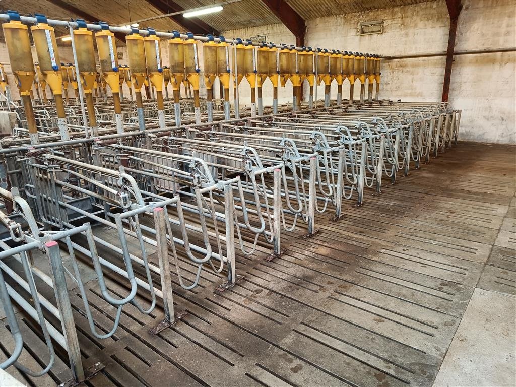 Sonstiges des Typs Sonstige Egebjerg Æde / hvile boks ca. 400 stk., Gebrauchtmaschine in Egtved (Bild 8)