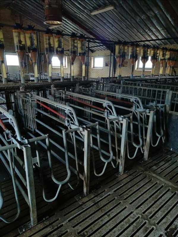 Sonstiges des Typs Sonstige Egebjerg Æde / hvile boks ca. 400 stk., Gebrauchtmaschine in Egtved (Bild 5)