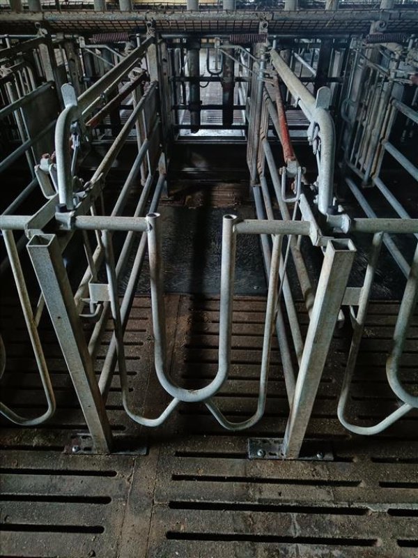 Sonstiges des Typs Sonstige Egebjerg Æde / hvile boks ca. 400 stk., Gebrauchtmaschine in Egtved (Bild 7)