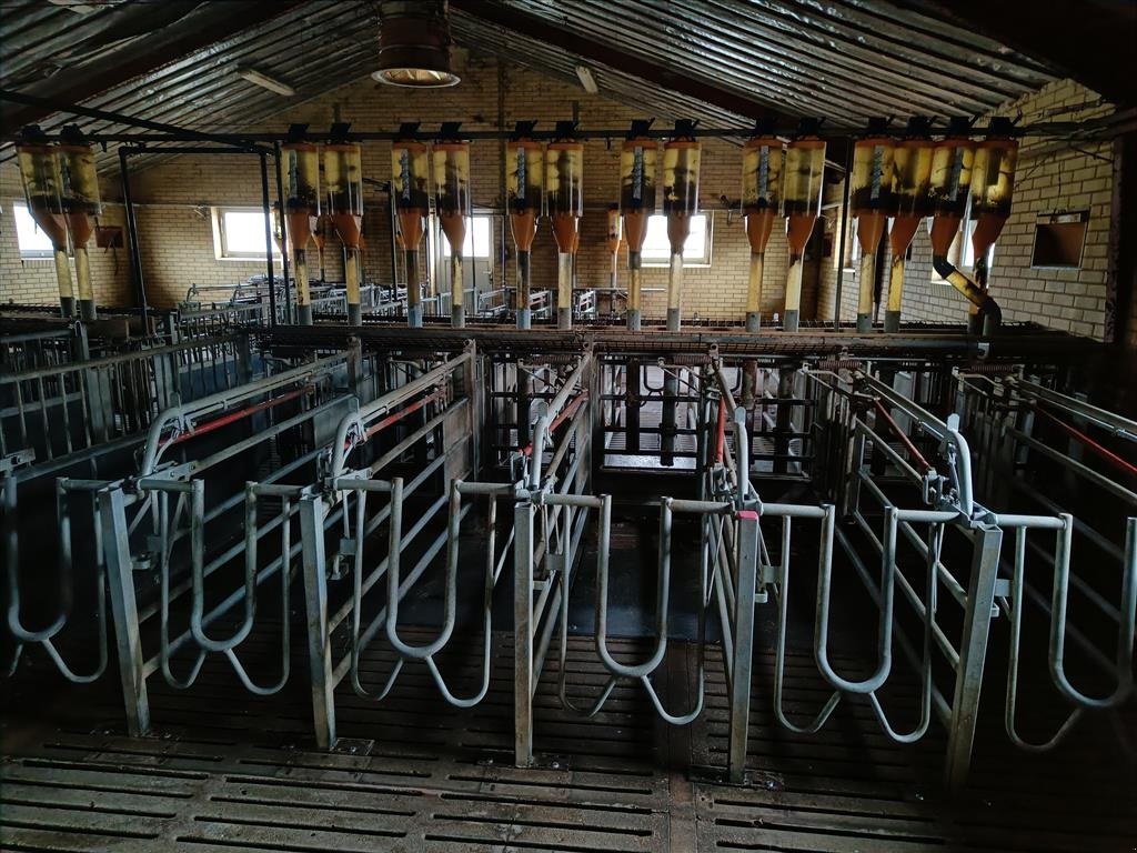 Sonstiges des Typs Sonstige Egebjerg Æde / hvile boks ca. 400 stk., Gebrauchtmaschine in Egtved (Bild 4)