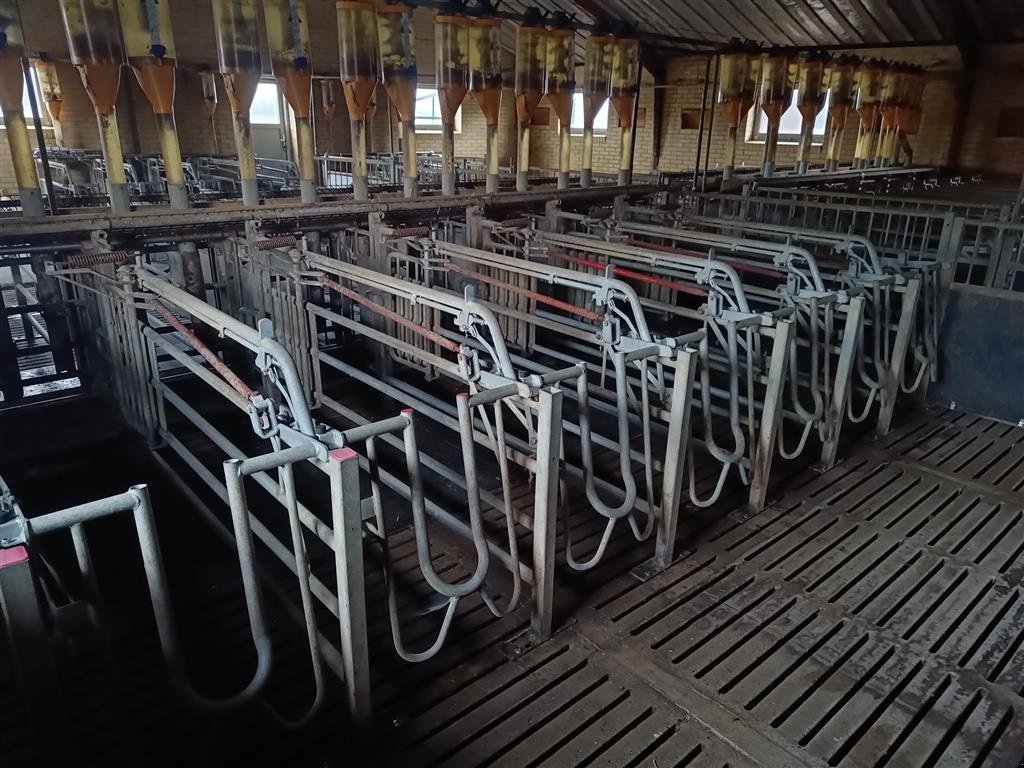 Sonstiges des Typs Sonstige Egebjerg Æde / hvile boks ca. 400 stk., Gebrauchtmaschine in Egtved (Bild 9)