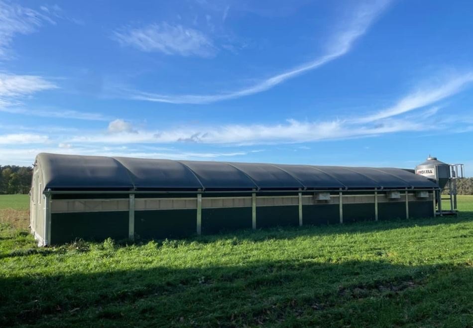 Sonstiges of the type Sonstige fås med autoåbning af hønse lem og redekasse, Gebrauchtmaschine in Korsør (Picture 5)