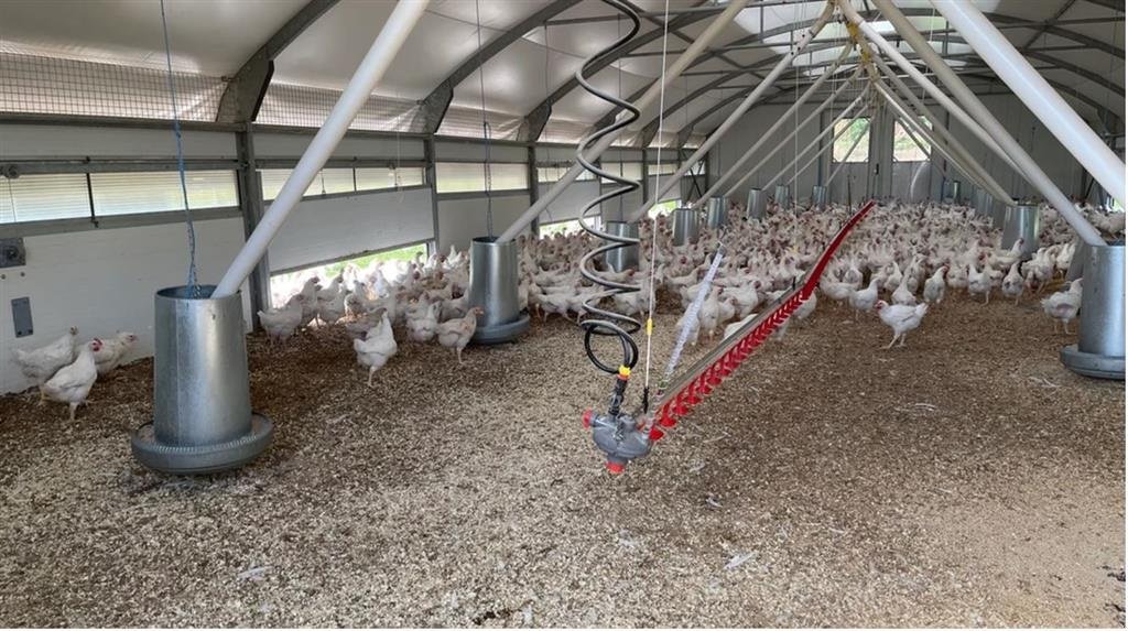 Sonstiges of the type Sonstige fås med autoåbning af hønse lem og redekasse, Gebrauchtmaschine in Korsør (Picture 6)