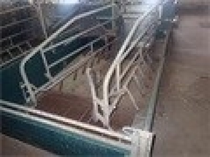 Sonstiges tip Sonstige Farestier 52  stk. KAN AFHENTES UDEN BEREGNING, Gebrauchtmaschine in Egtved (Poză 1)