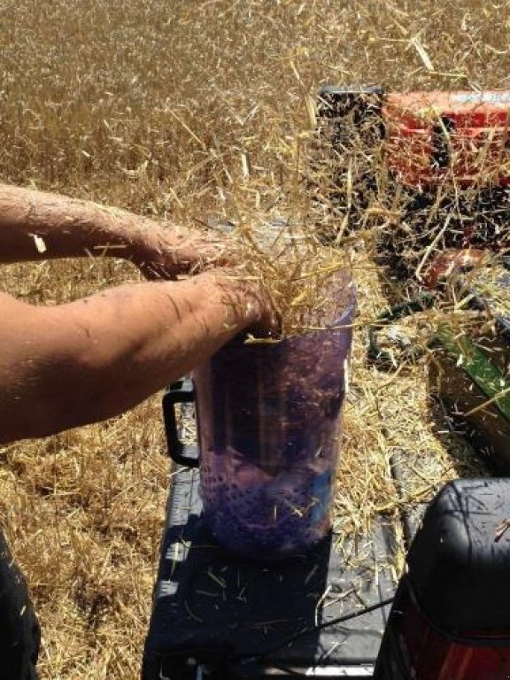Sonstiges des Typs Sonstige Field Fan, Gebrauchtmaschine in Assens (Bild 4)
