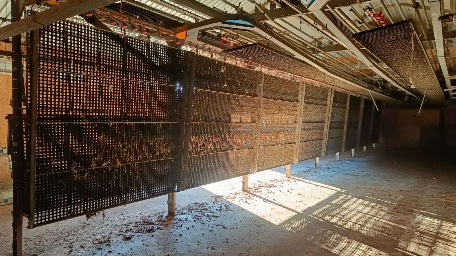 Sonstiges of the type Sonstige Fjerkræ opdrætssytem, (inventar) til  ca. 6500 stk., Gebrauchtmaschine in Egtved (Picture 2)