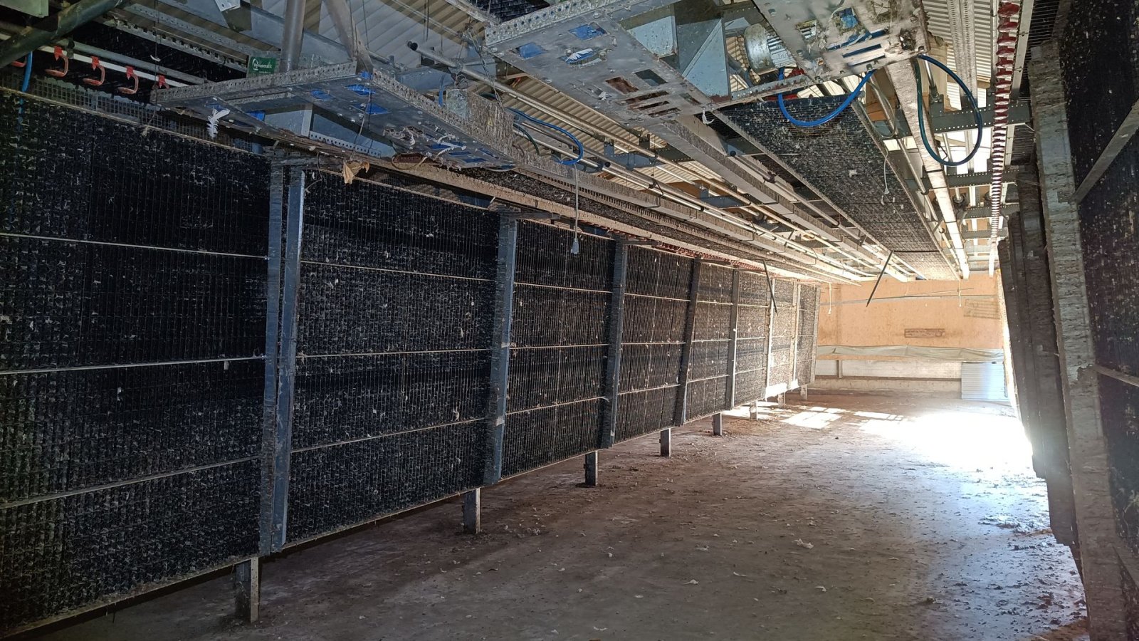 Sonstiges of the type Sonstige Fjerkræ opdrætssytem, (inventar) til  ca. 6500 stk., Gebrauchtmaschine in Egtved (Picture 8)